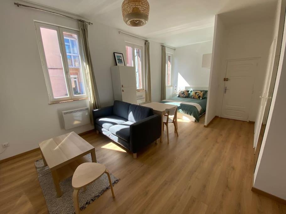 Ferienwohnung Le Petit Minimes Au Bord Du Canal Du Midi Toulouse Exterior foto